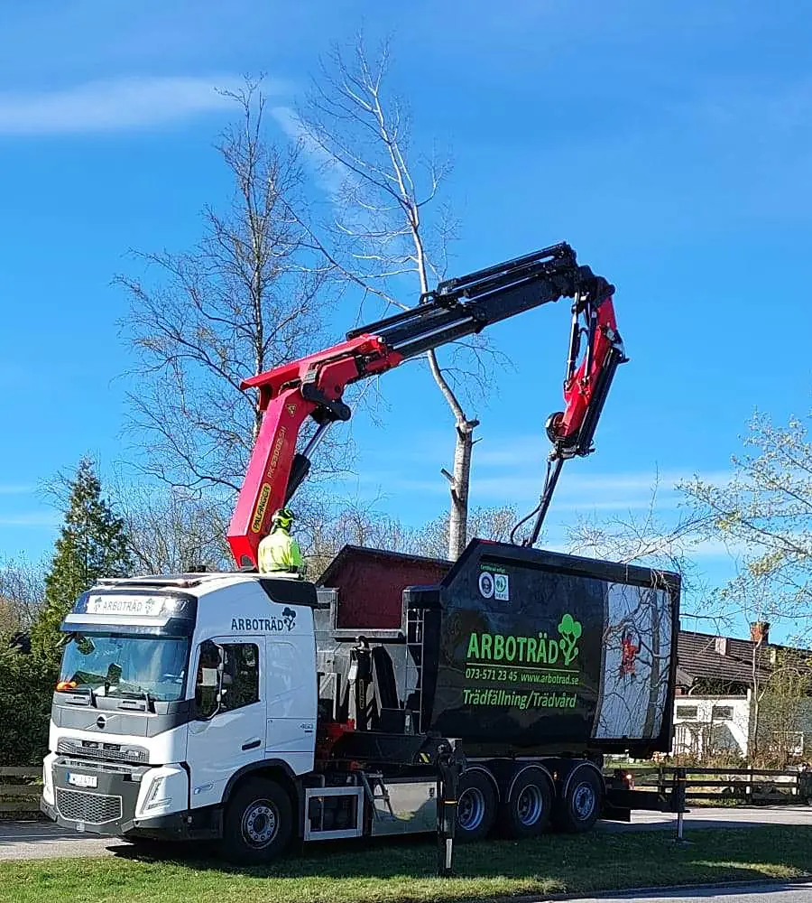Arboträds kranbil vid en väg med kranen uppfälld mot en björk, en arborist står på hytten