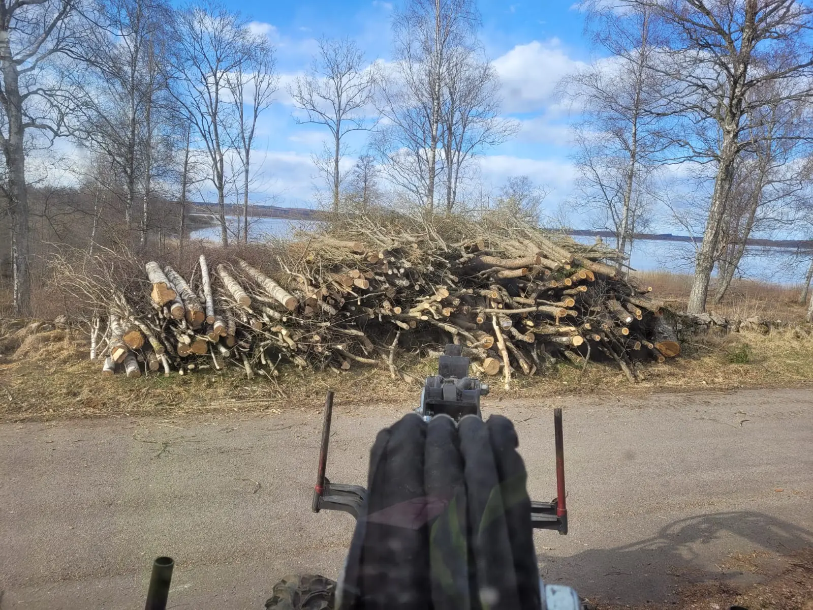 Arborist från Arboträd vid en vedtrave efter en fällning