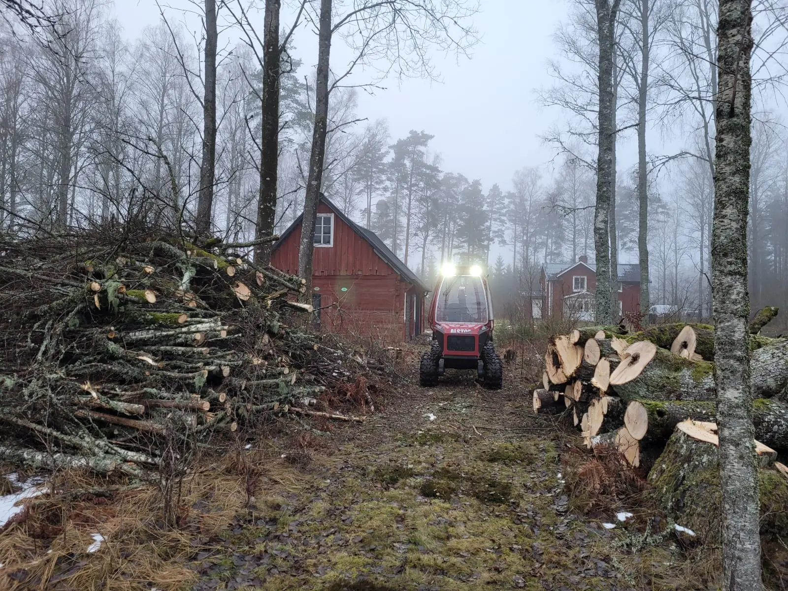 Terrängfordon med tända lampor på en skogsväg mellan en hög med kapade grenar och uppstaplade björkstammar, med röda hus i dimman