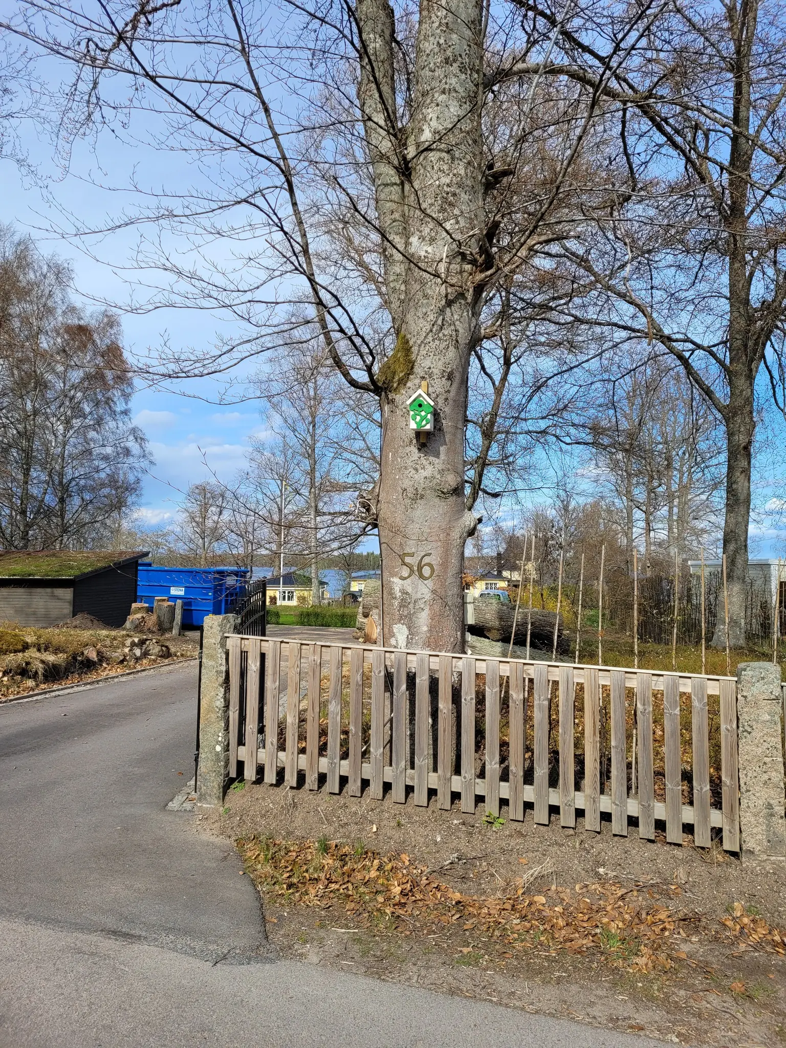 Certifierad arborist med skyddsutrustning vid ett träd